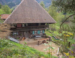 Schwarzwaldhaus 1902 - preview.jpeg