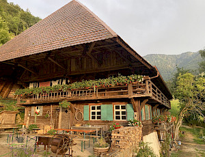 Schwarzwaldhaus 1902 - preview_1.jpeg