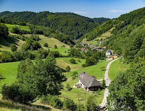 Schwarzwaldhaus 1902 - preview_7.jpeg