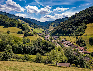 Schwarzwaldhaus 1902 - preview_9.jpeg