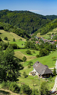 Speck-Vesper - preview_7_1000x0.jpeg