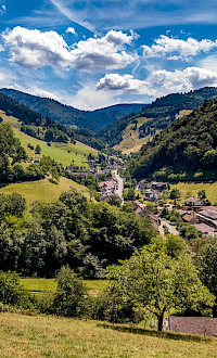 Speck-Vesper - preview_9_1000x0.jpeg